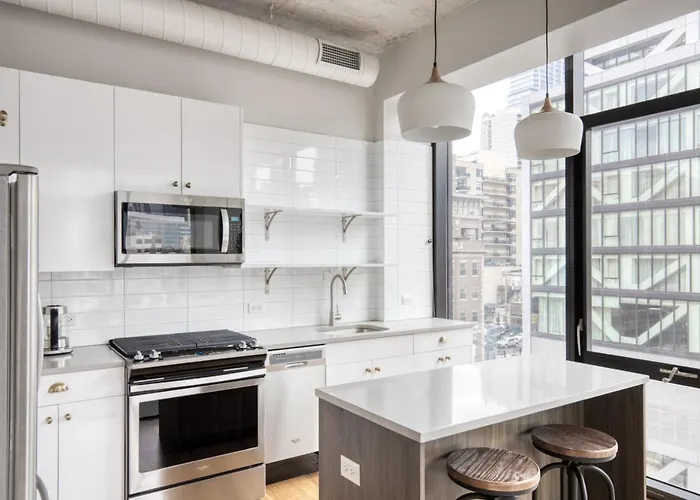 River North 1br W Gym Lounge Roof Nr Riverwalk Chi-895 Apartment *