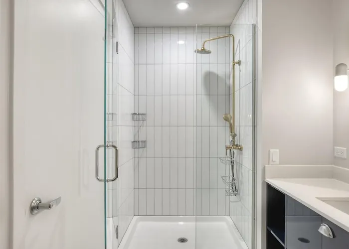 Apartment River North 1br W Gym Lounge Roof Nr Riverwalk Chi-895 Chicago