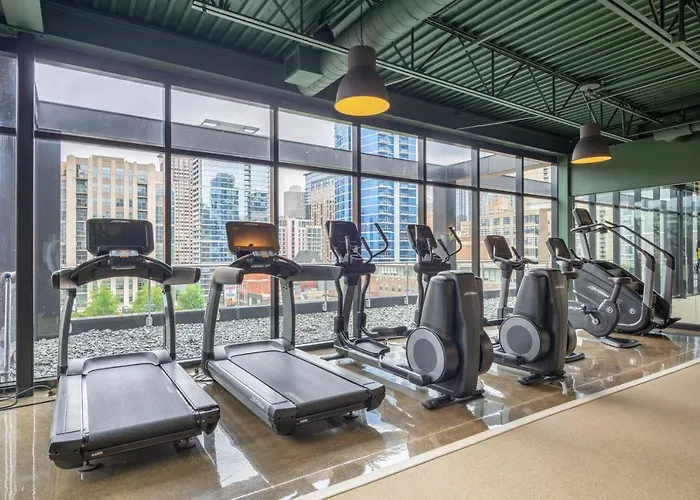 River North 1br W Gym Lounge Roof Nr Riverwalk Chi-895 Apartment *