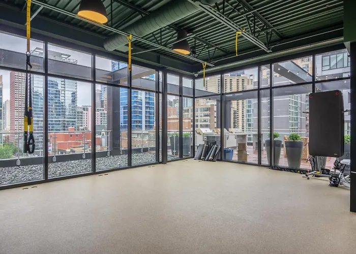 River North 1br W Gym Lounge Roof Nr Riverwalk Chi-895 Apartment